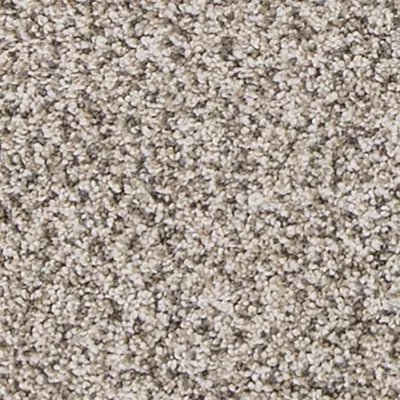 Mohawk Canine Comfort - Frosty Spice