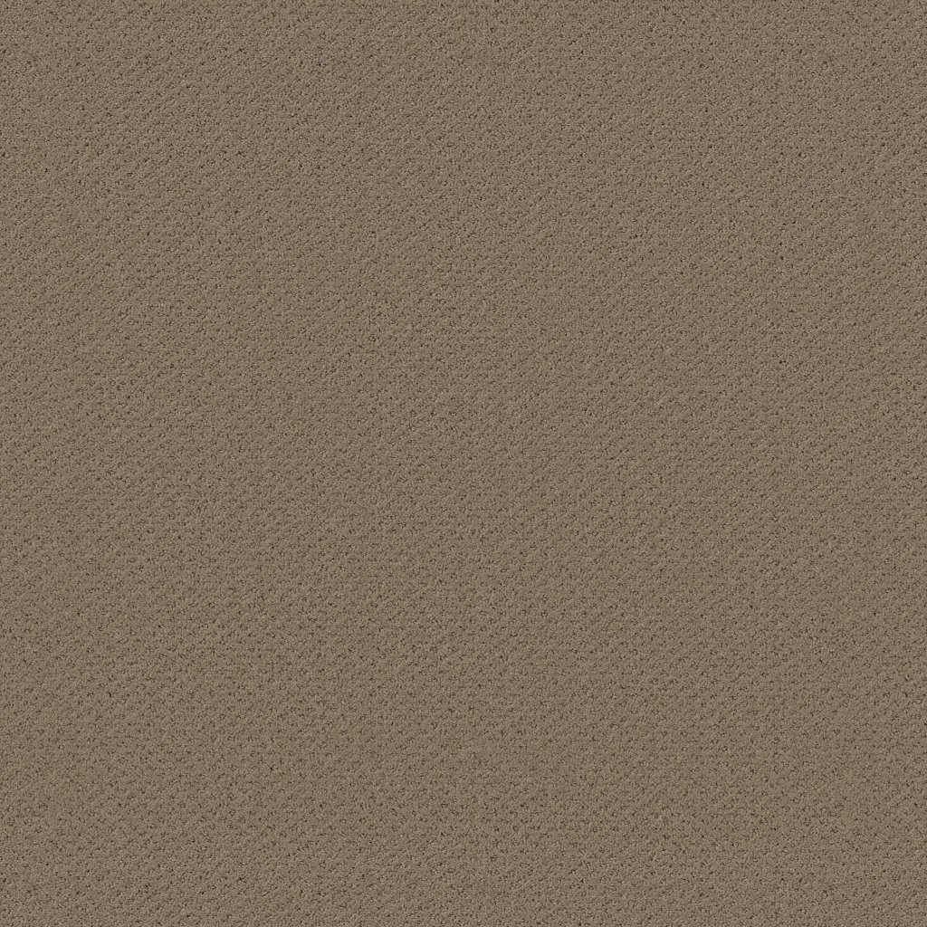 Shaw Floors Genesis - Prairie