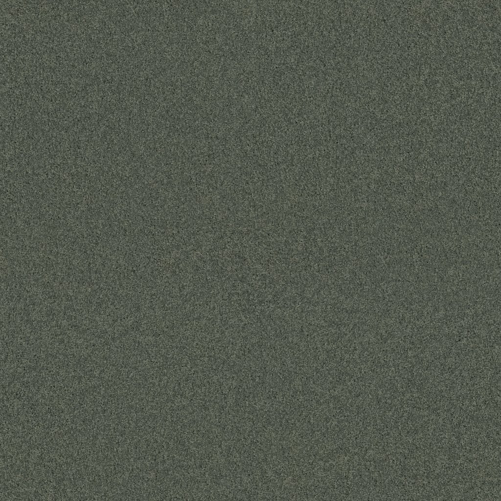 Shaw Floors My Inspiration I - Bay Laurel