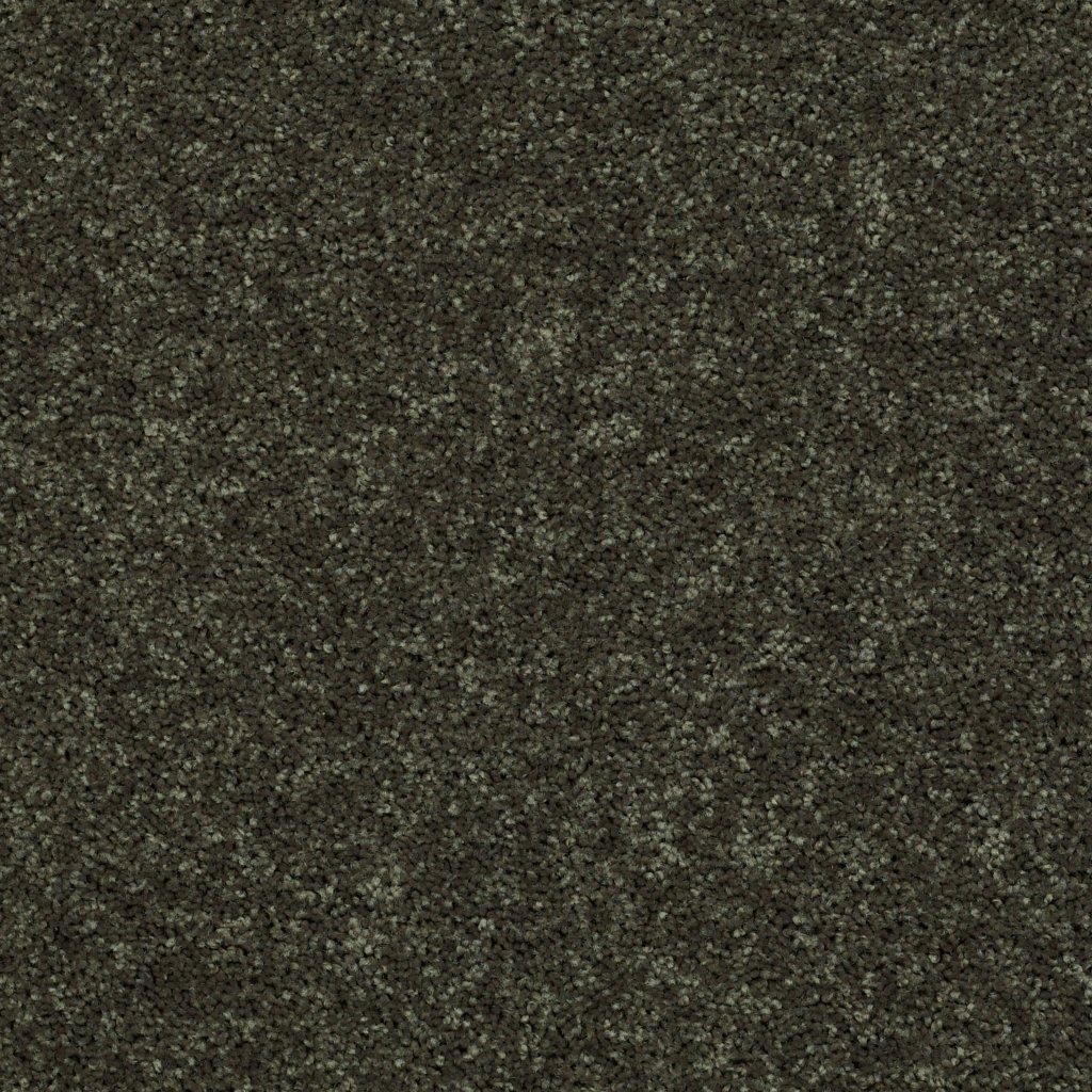 Shaw Floors Drexel Hill III 15' - Garden Grove