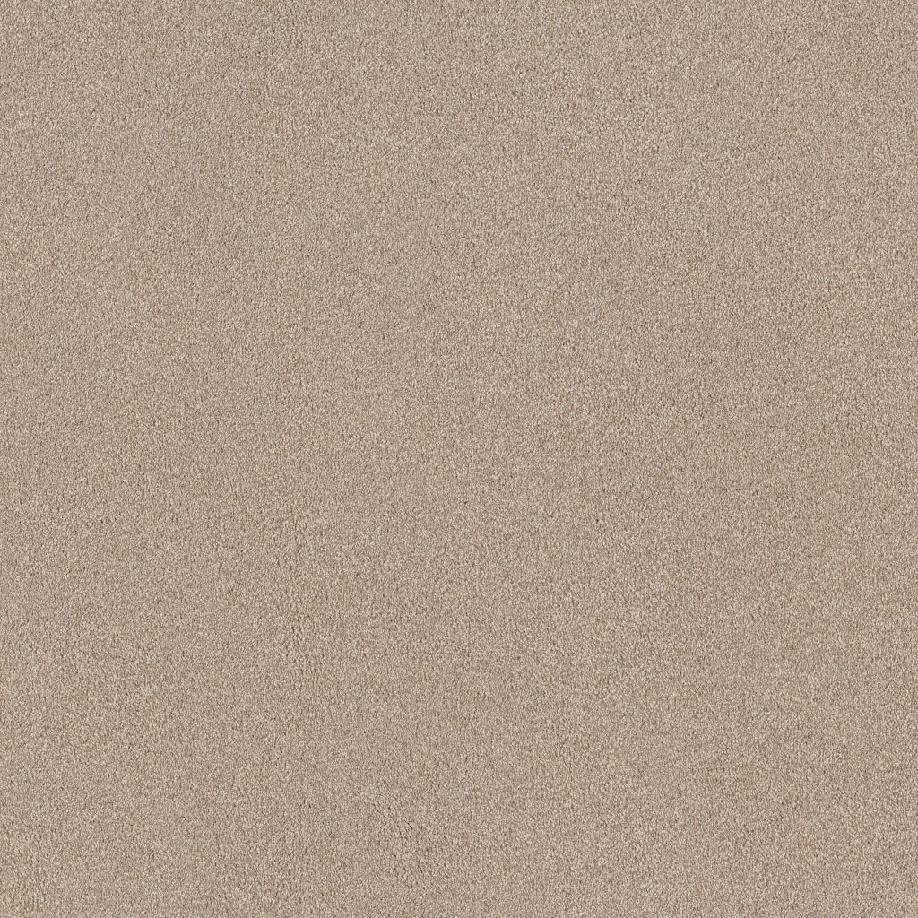 Shaw Floors Tonal Comfort II - My Haven