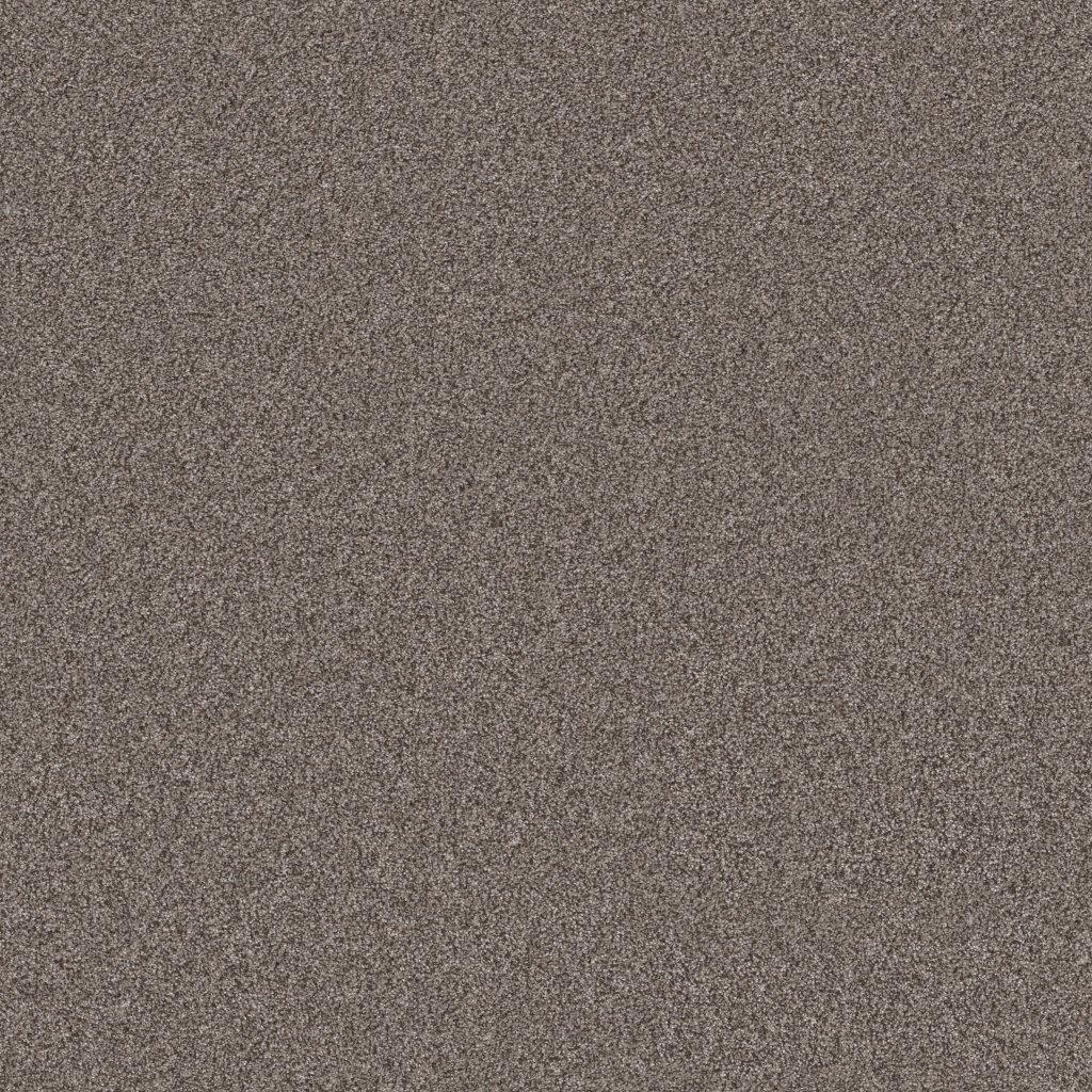 Shaw Floors Artistic Fusion I - Urban Rustic