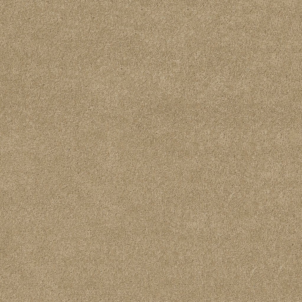 Shaw Floors Tip Of The Hat - Field Stone
