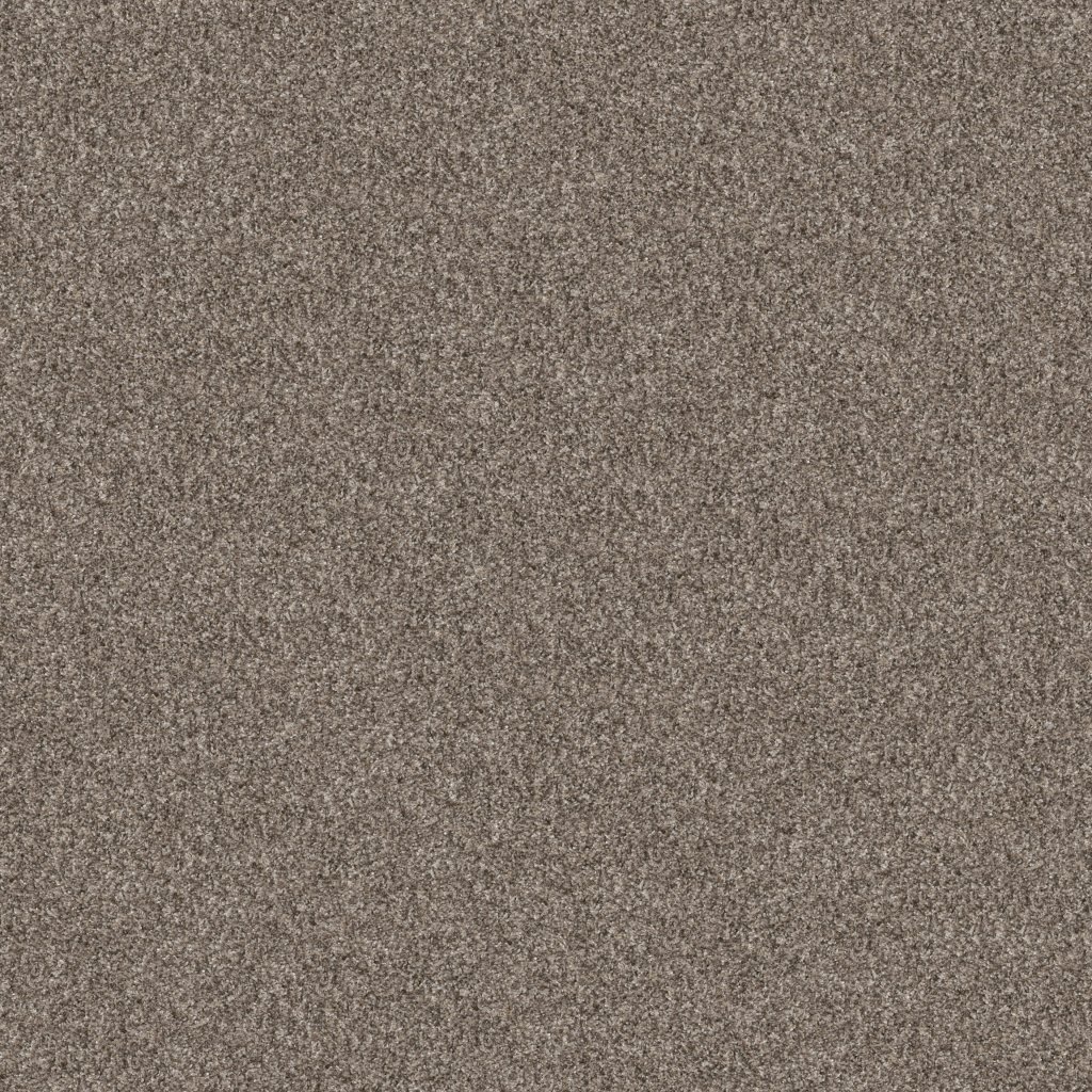 Shaw Floors Yes You Can III 12' - Soft Sense