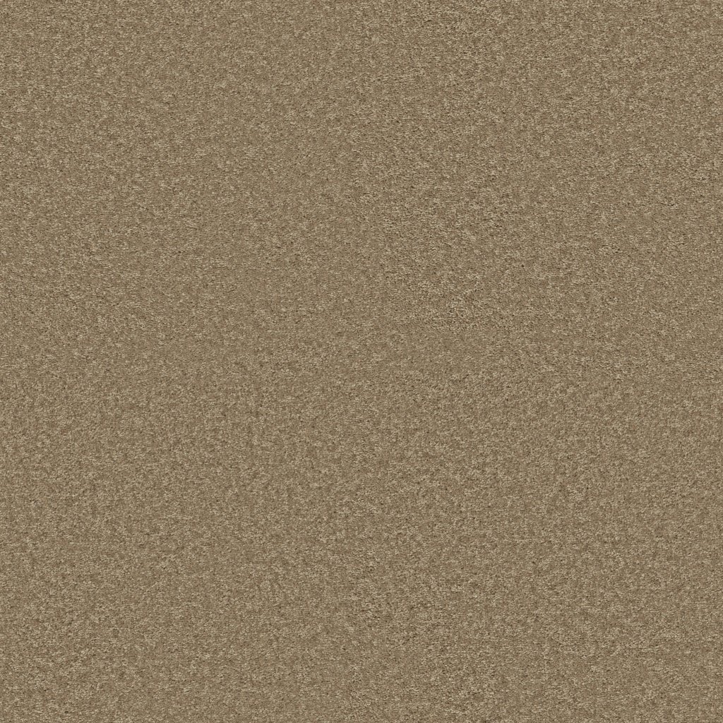 Shaw Floors Well Played II 15' - Honeycomb