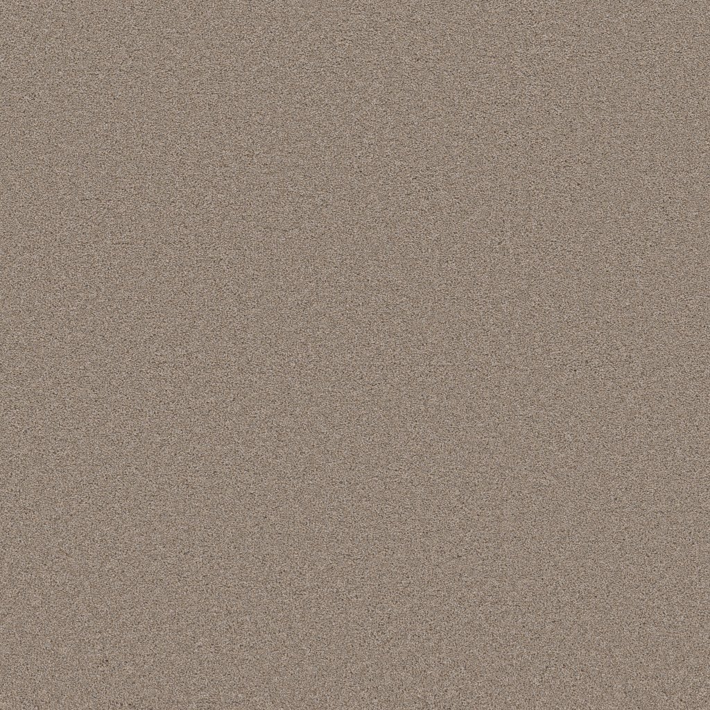 Shaw Floors Blended Touch II - Wool Blend