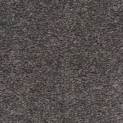 Mohawk Memorable View - Alden Charcoal