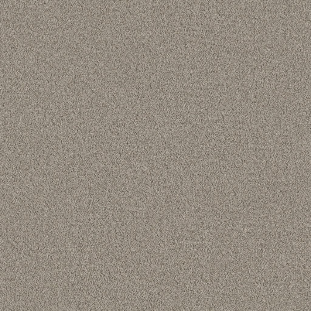 Shaw Floors Aerial View - Natural Stone