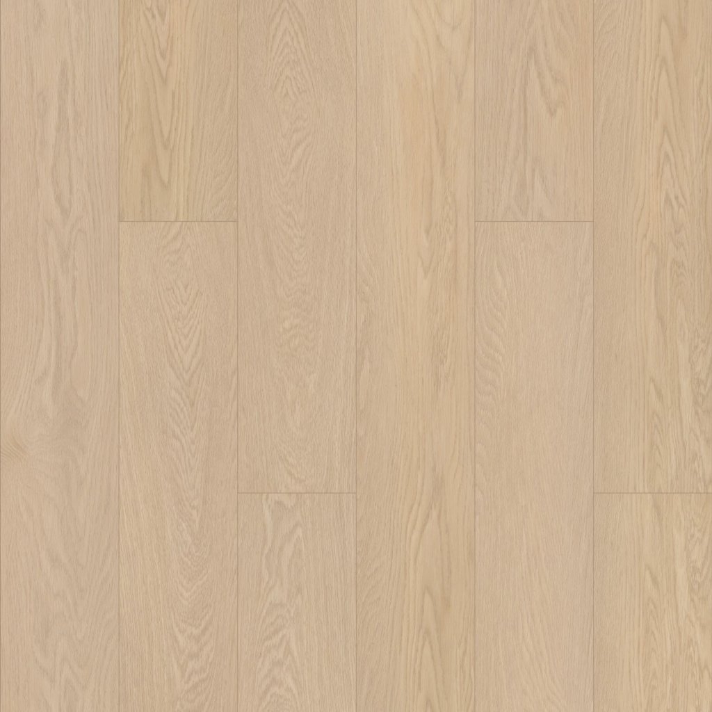 Shaw Floors Paladin Plus - Oceanfront