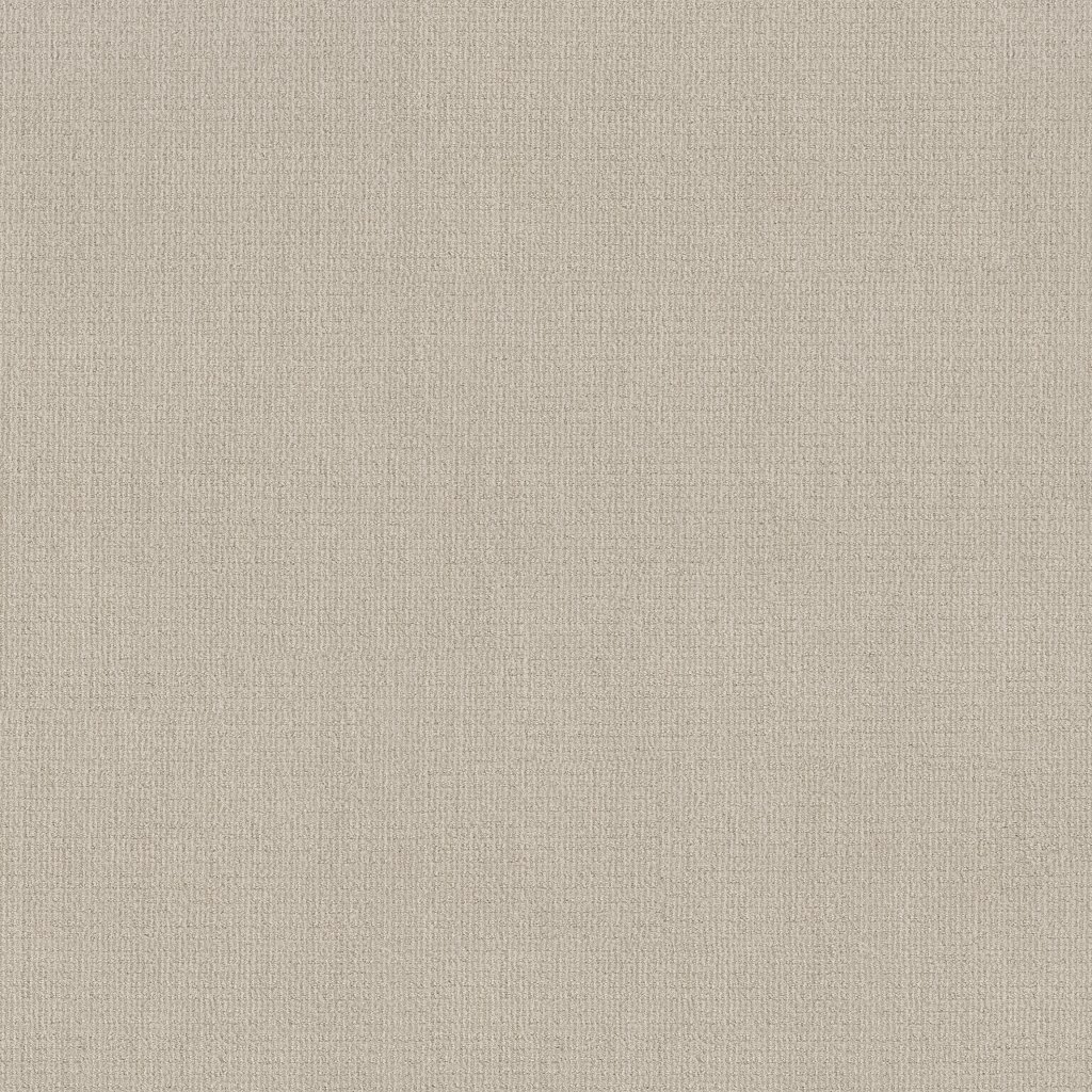 Shaw Floors Sierra Vista - Alabaster