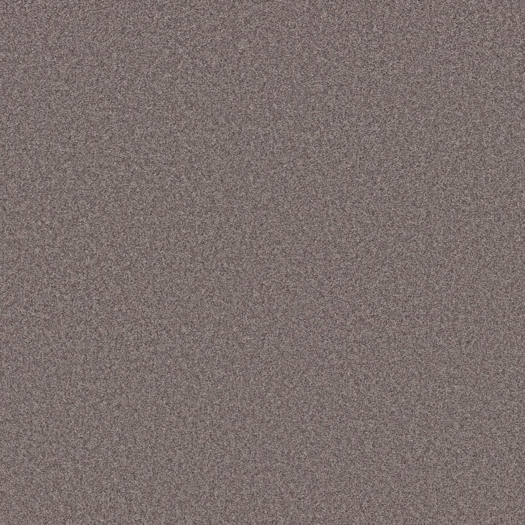 Shaw Floors Harmonious III - Deep Connection