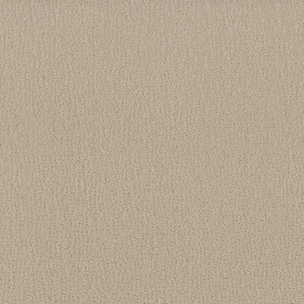 Shaw Floors Studio Set - Twine
