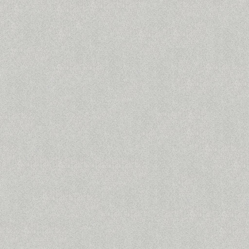 Shaw Floors Tonal Comfort I - Restful Day