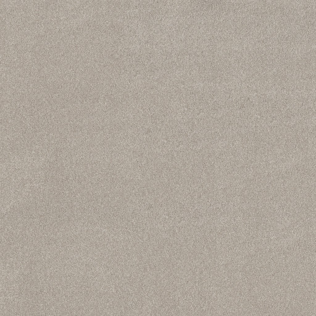 Shaw Floors Vivid Touch II - Beige Mist