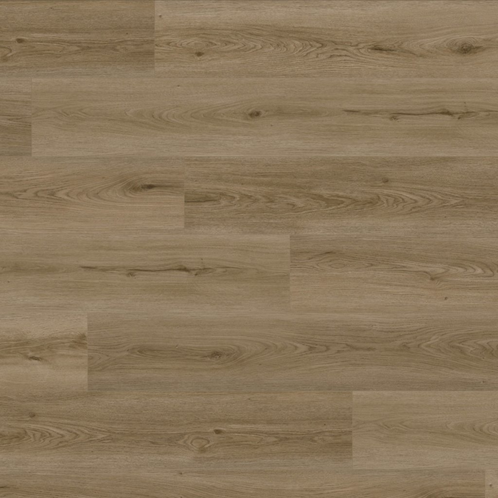 Mohawk Timber Brook - Wyndale