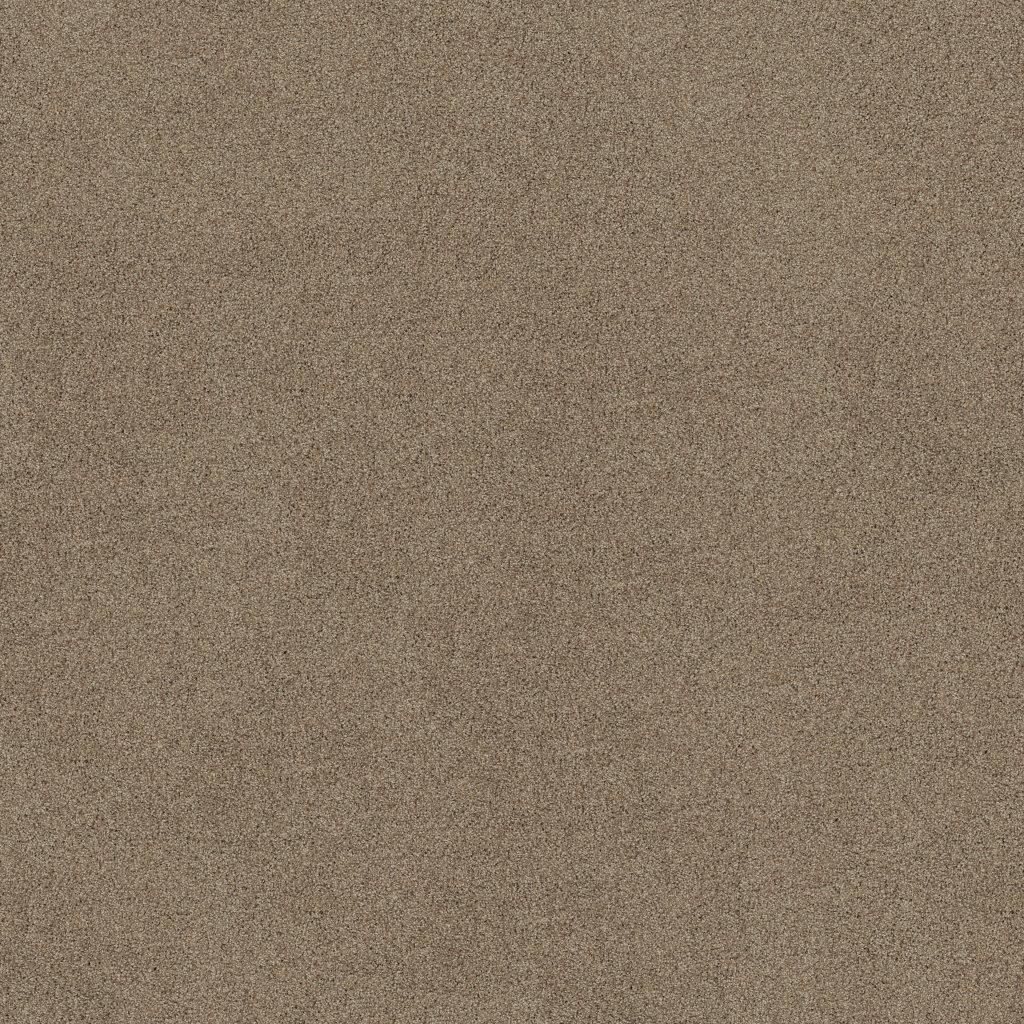 Shaw Floors Always Mine - Caribou