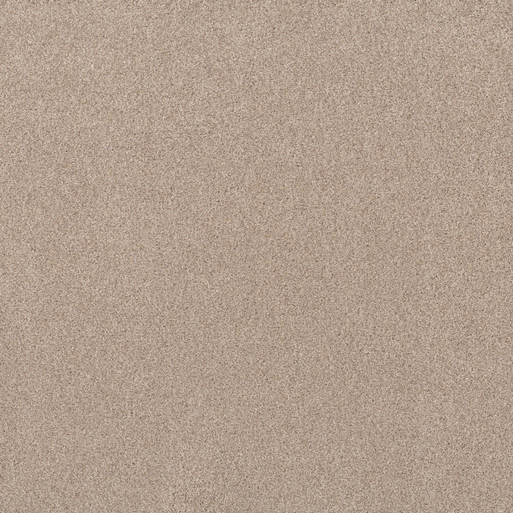 Shaw Floors Live On Comfort - Palm Desert