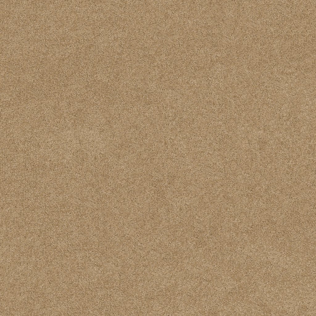 Shaw Floors Salina I - Chamois