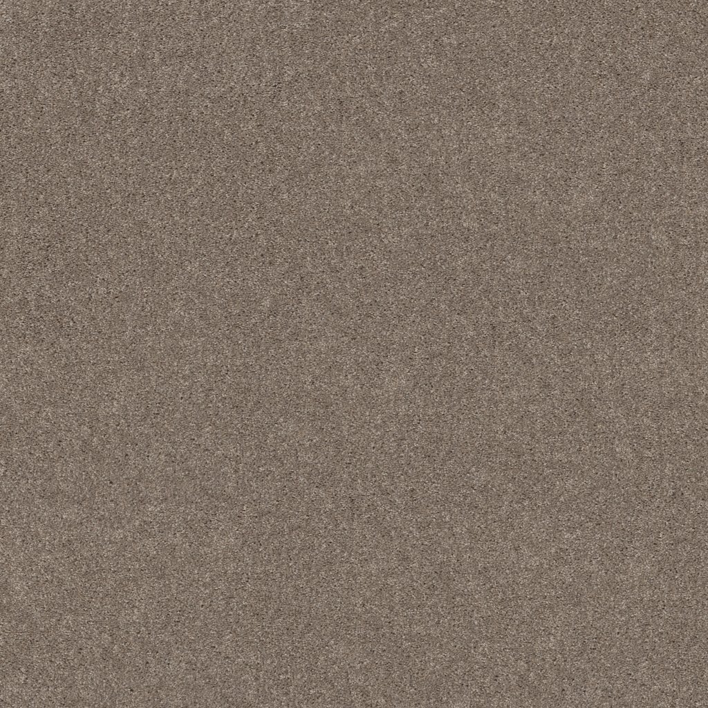 Shaw Floors Hot Topic - Quiet Tan