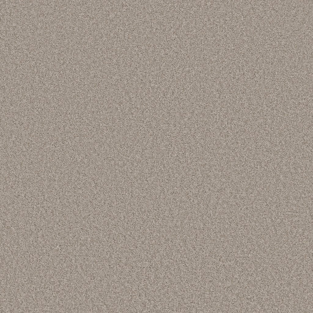 Shaw Floors Harmonious I - Fossil Path