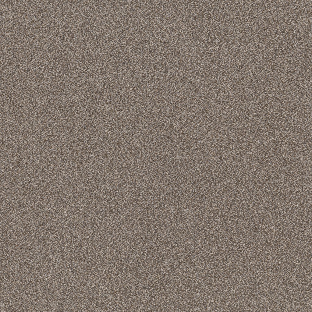 Shaw Floors Trusplendor - Cobble Drive
