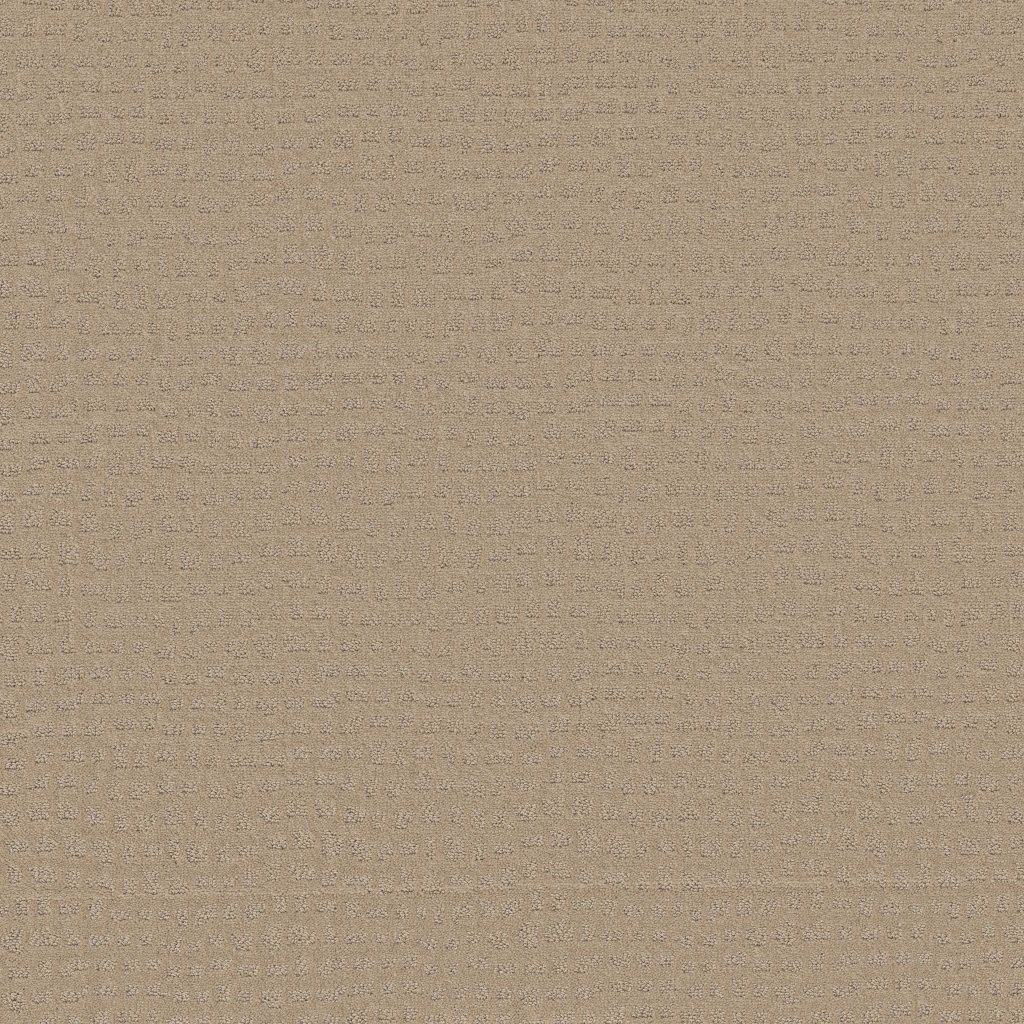 Shaw Floors Solstice - Terrazo