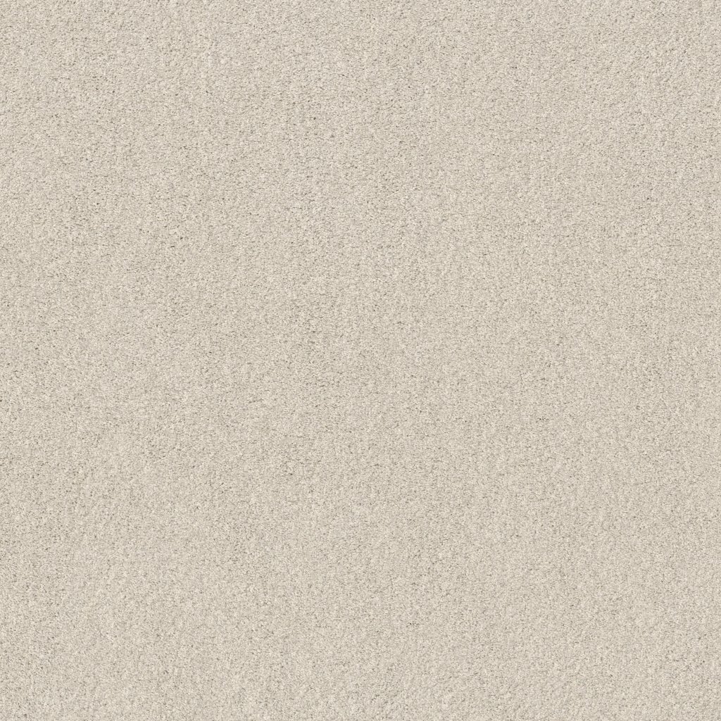 Shaw Floors Cozy Harbor I - Delicate Cream