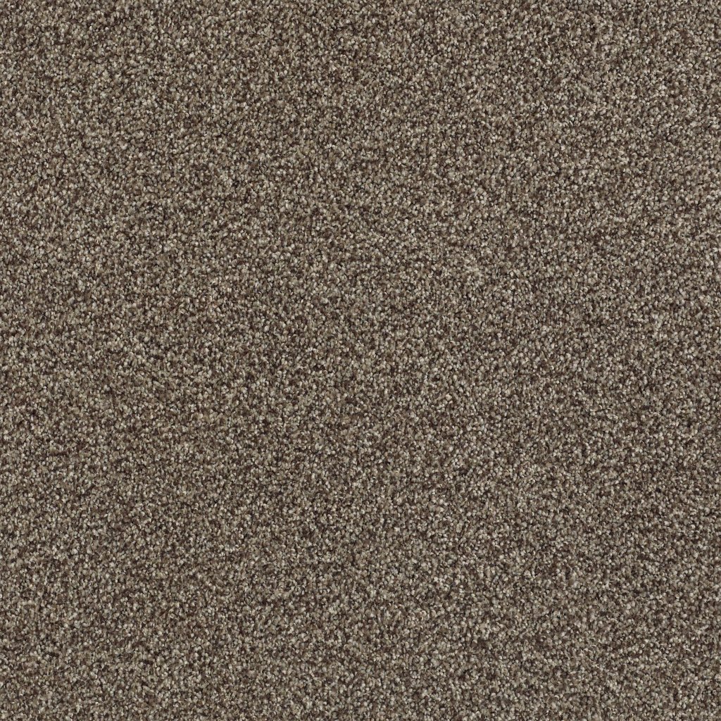 Shaw Floors Tonal Comfort II - Summer House