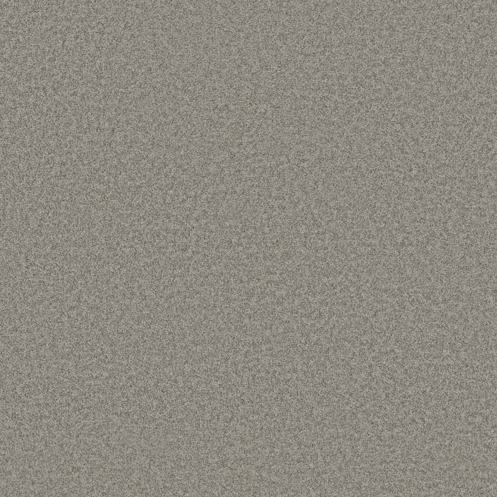 Shaw Floors Harmonious I - Grey Fox