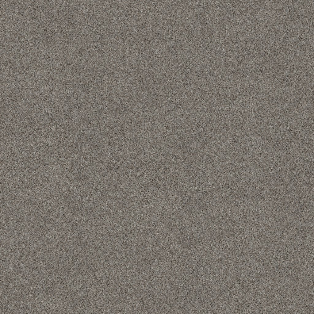 Shaw Floors Abilene II - Powerful