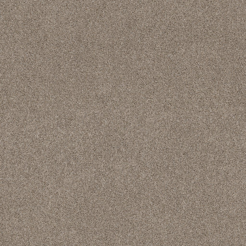 Shaw Floors Ocean View - Caribou