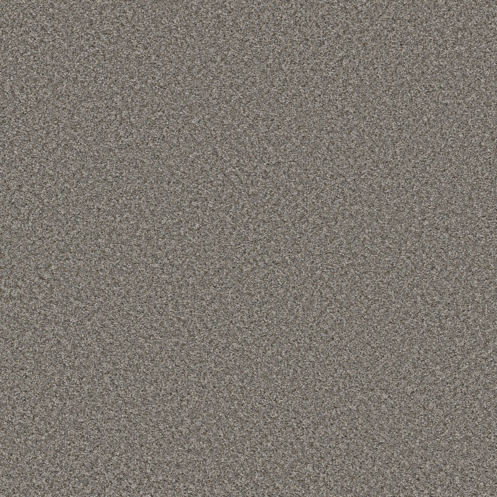Shaw Floors Feelin' Alright - Washed Suede