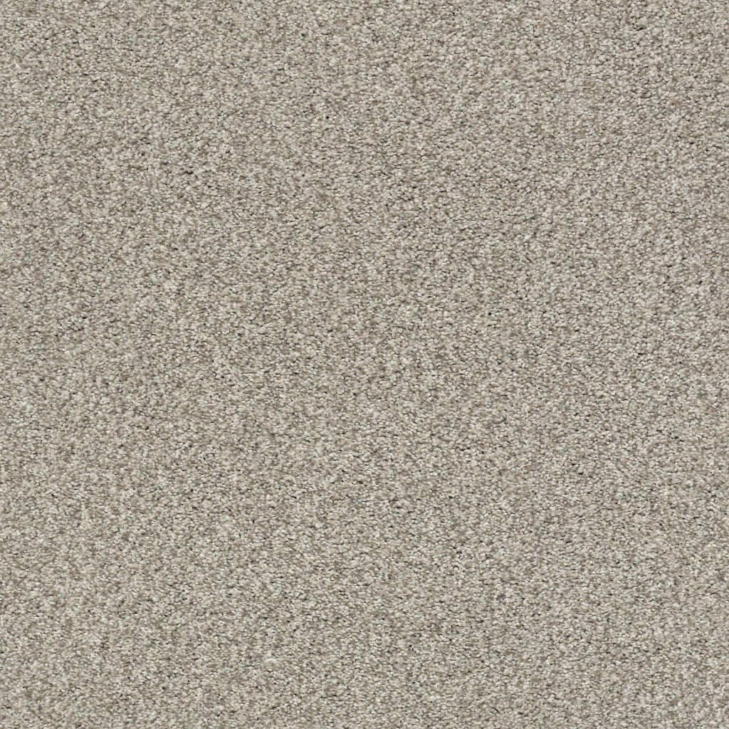 Shaw Floors Tonal Comfort Blue - Back Patio