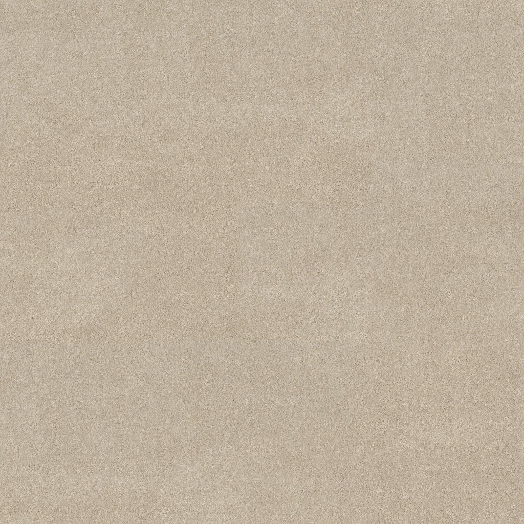 Shaw Floors Vivid Touch II - Dune View