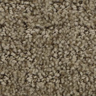 Mohawk Stylish Tones - Hickory