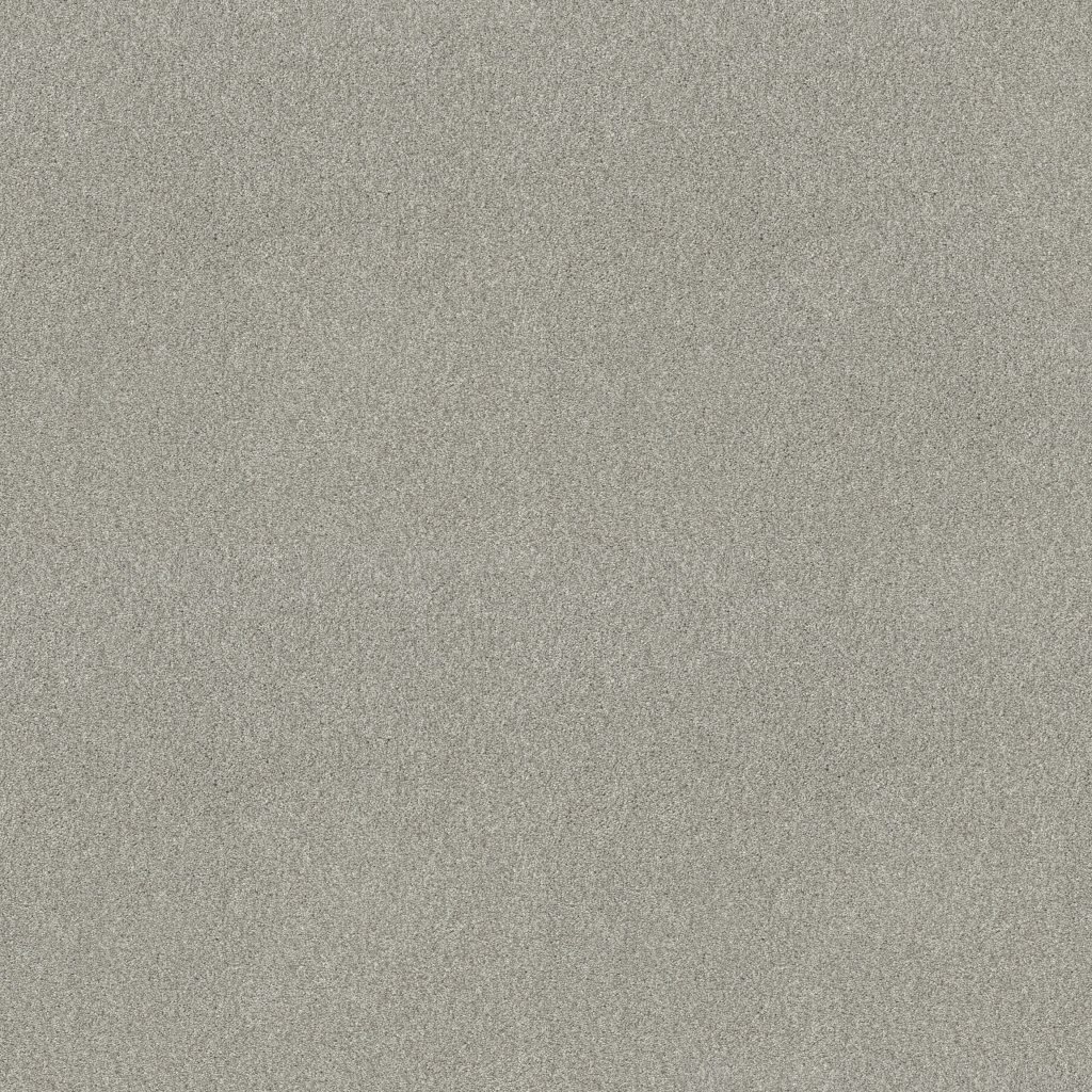 Shaw Floors Tonal Comfort II - Refreshed