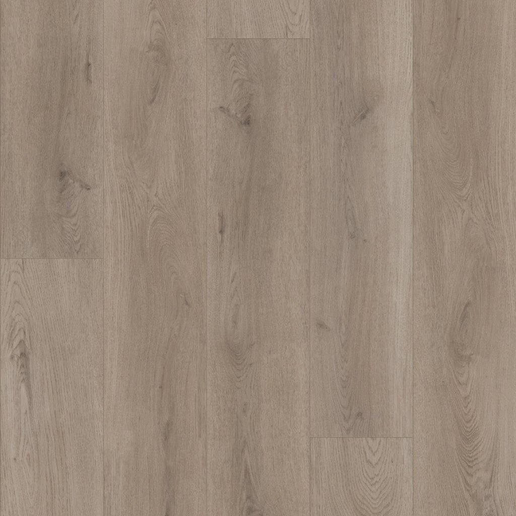 Shaw Floors HOMEBOUND - Smoky Greige