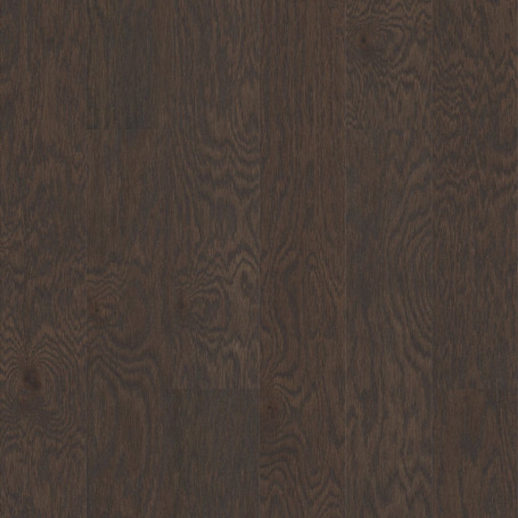 Shaw Floors Villa - Basalt