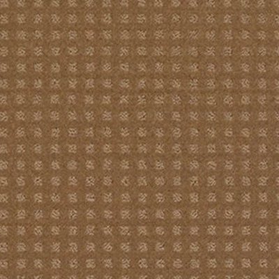 Shaw Floors The Fair - Gold Coin