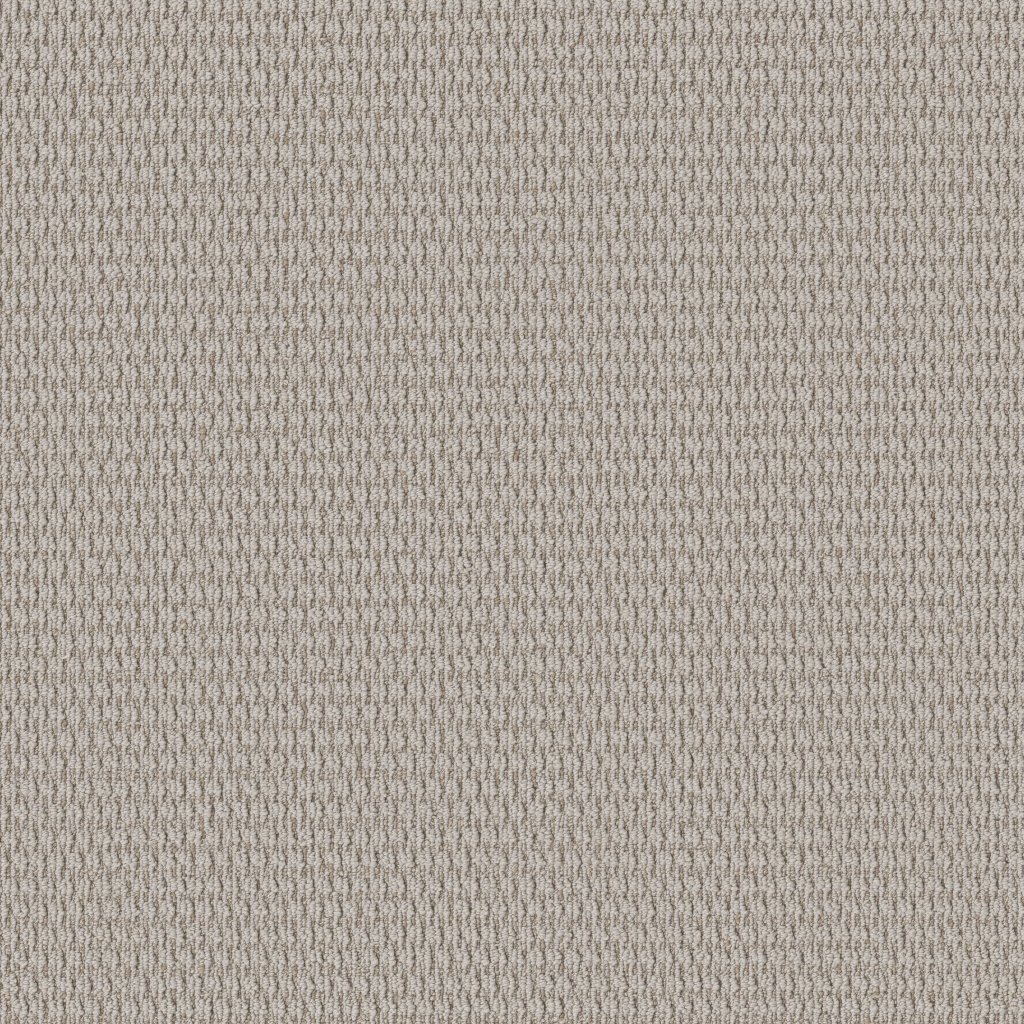 Shaw Floors Cozy Embrace - Platinum