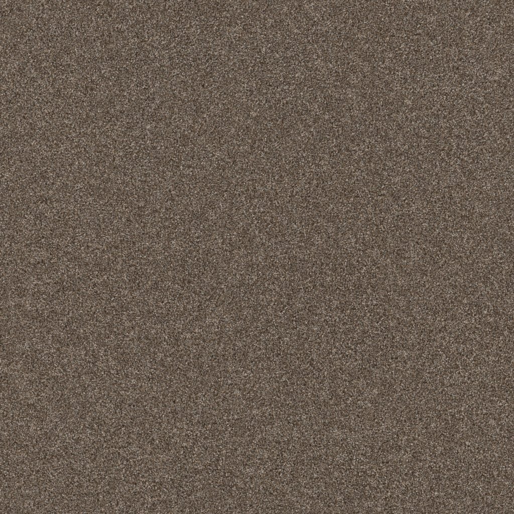 Shaw Floors Truspirit II - Chestnut