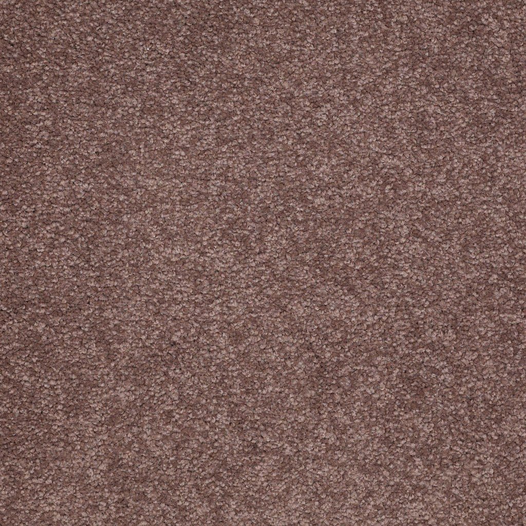 Shaw Floors Timeless Appeal Ii 15' - Indigo