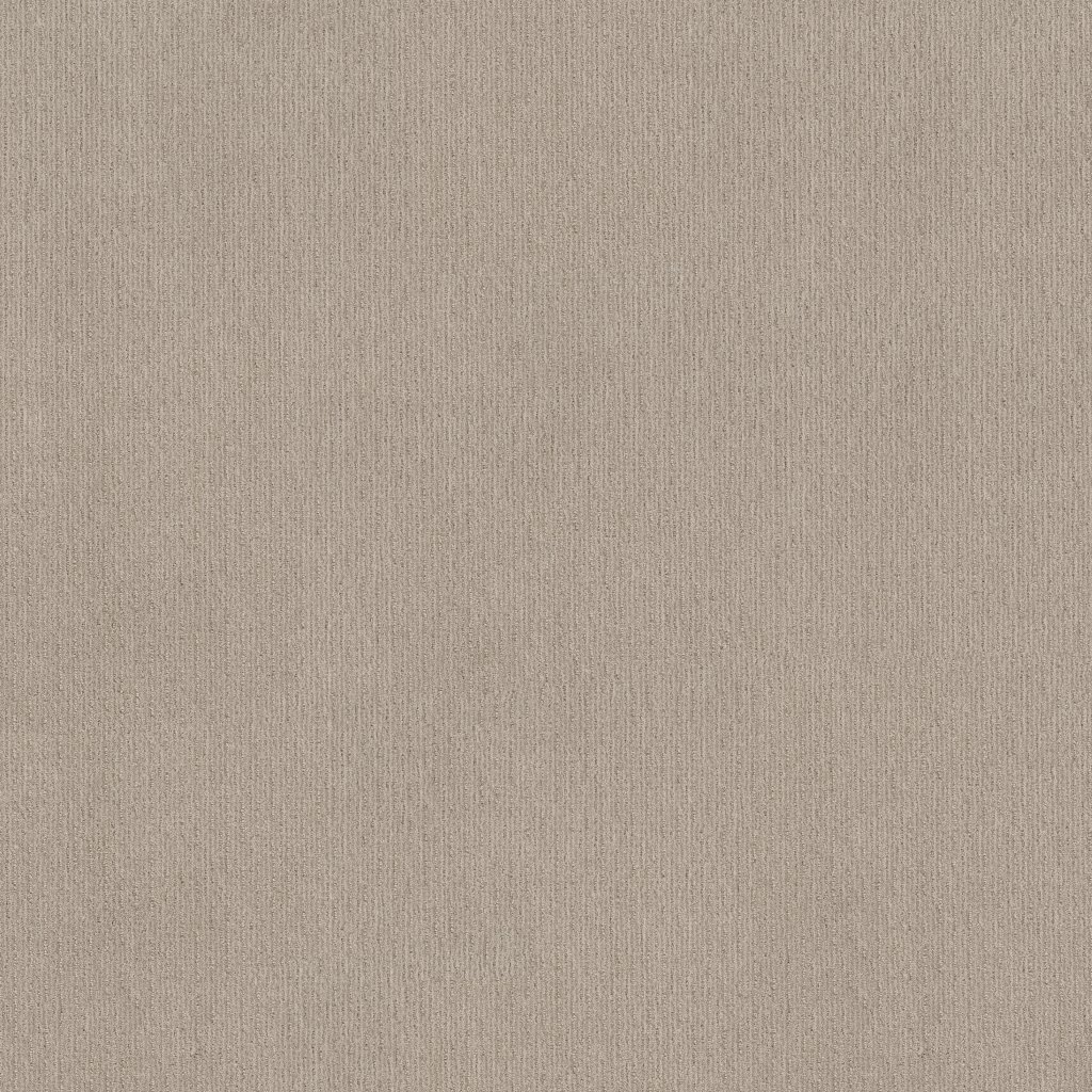 Shaw Floors Insightful Way - Studio Taupe