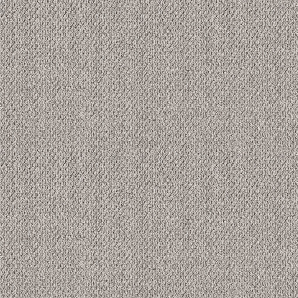 Shaw Floors Naturalistic - Silver Lining