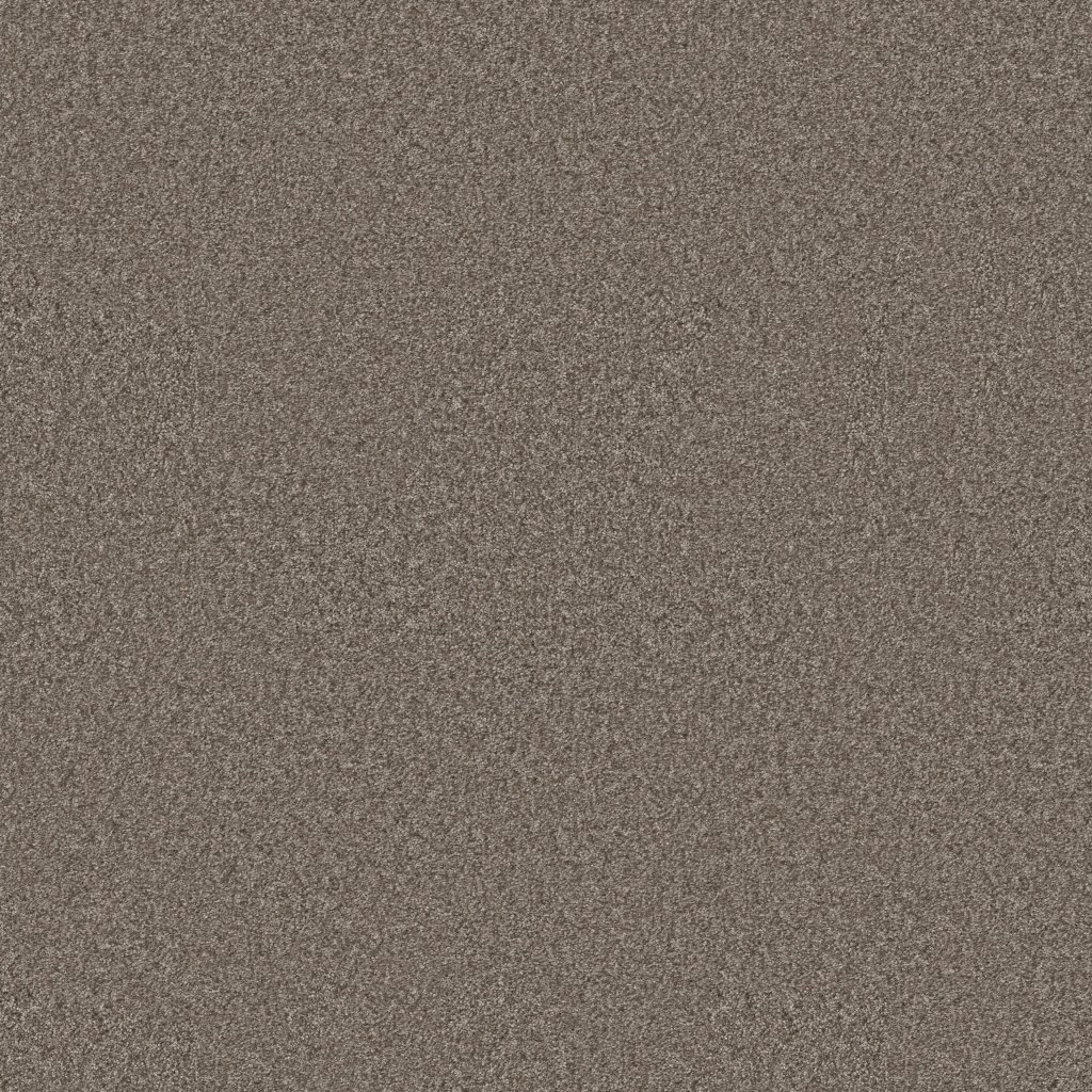 Shaw Floors You Got This III - Cobblestone