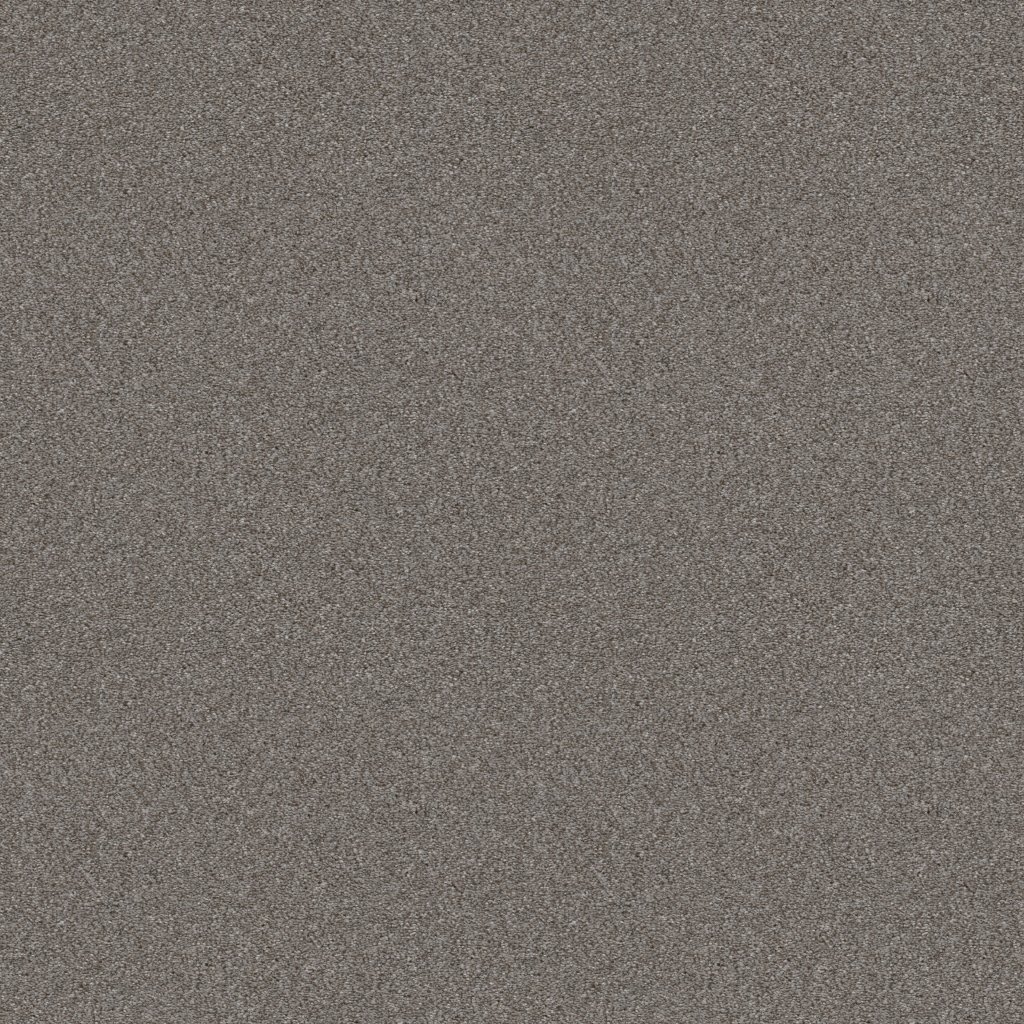 Shaw Floors Attainable - Arctic Shadow