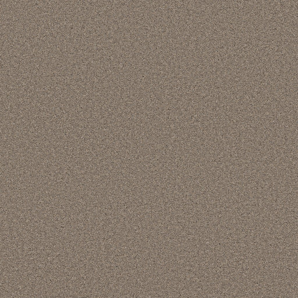 Shaw Floors Wonderland III 12' - Slate