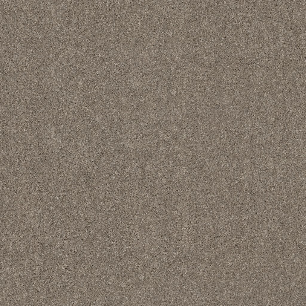 Shaw Floors Hot Topic - Studio Loft