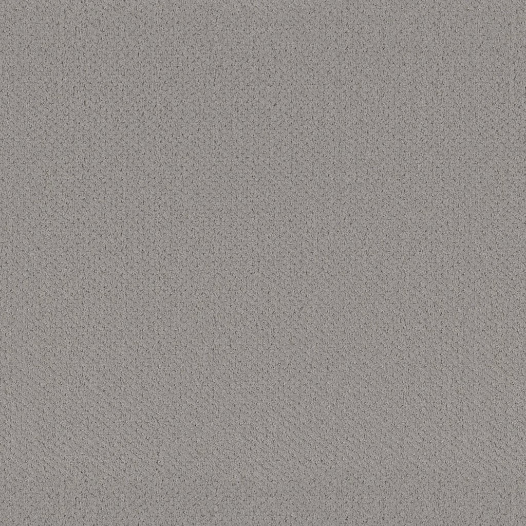 Shaw Floors Infallible Instinct - Silhouette