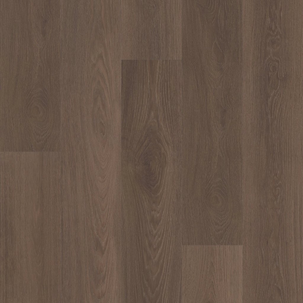 Shaw Floors Ascent NB - Sierra